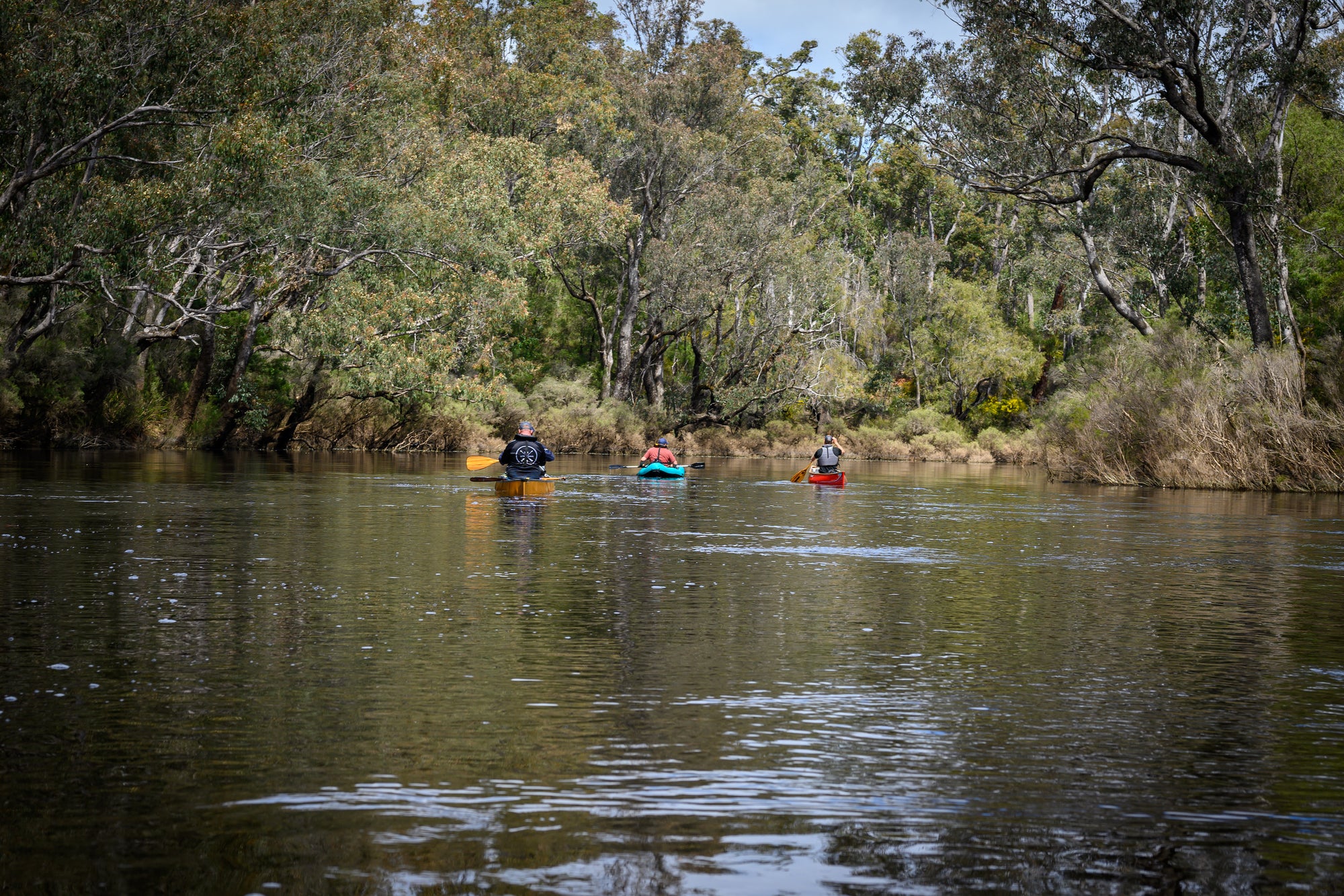 Blackwood River Canoe Trip