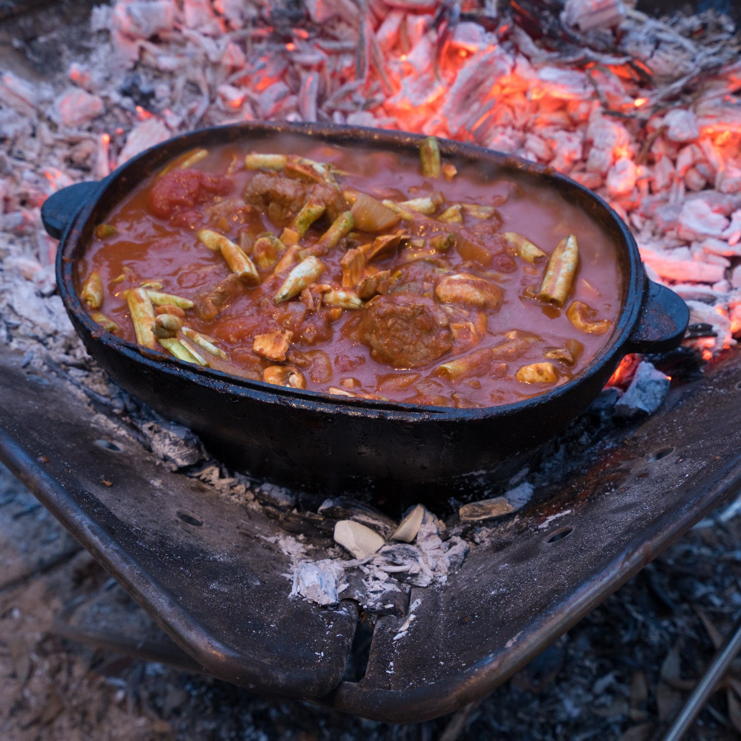 Campfire Lamb and Vegetable Stew