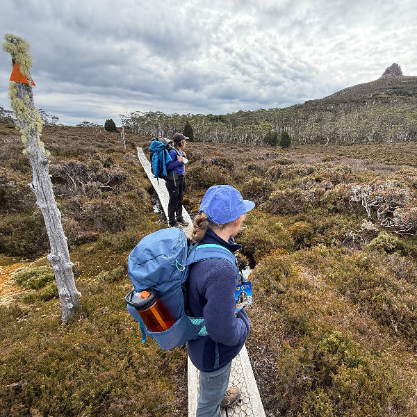 Hikers on a trail with a mountain in the background Overland Track Tasmania